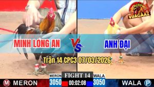 Trận 14 CPC3 07/03/2026