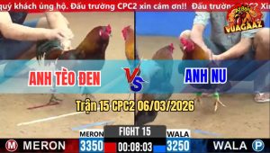 Trận 15 CPC2 06/03/2026