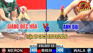 Trận 15 CPC3 07/03/2026