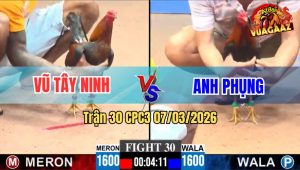 Trận 30 CPC3 07/03/2026