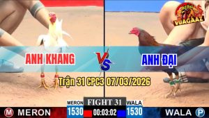 Trận 31 CPC3 07/03/2026