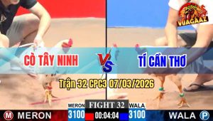 Trận 32 CPC3 07/03/2026