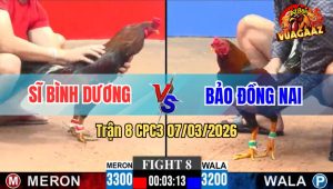 Trận 8 CPC3 07/03/2026