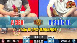 Trận 15 CPC2 18/04/2026 - Điều Đá Bo Xe Đụng Que Lật Xe Nằm 1 Chỗ